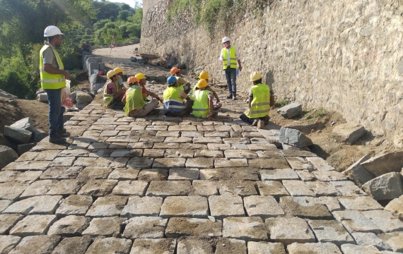 Paving of the Wadi Sultan Village Road under FSRRP, Support for Farmers and Employment for the Youth